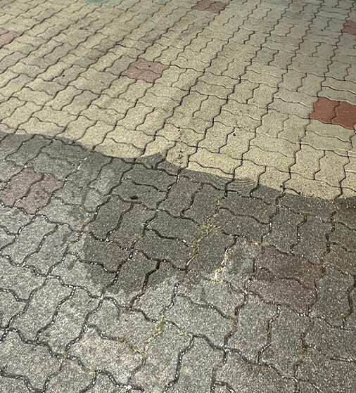 Chamelion Oberflächenreinigung